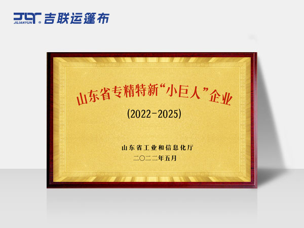 山东省专精特新“小巨人”企业